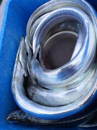 台風前に　あたりは夜中中