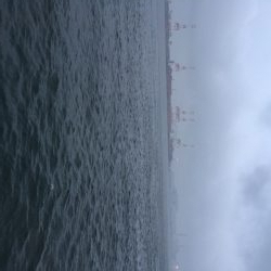 台風前に　あたりは夜中中