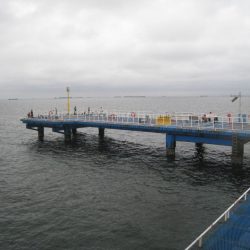 オリジナルメーカー海づり公園(市原市海づり施設) 釣果