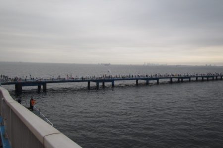 オリジナルメーカー海づり公園(市原市海づり施設) 釣果