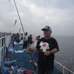 オリジナルメーカー海づり公園(市原市海づり施設) 釣果