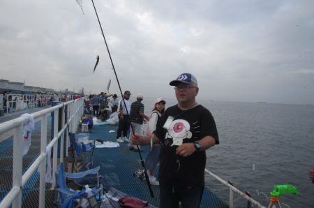 オリジナルメーカー海づり公園(市原市海づり施設) 釣果