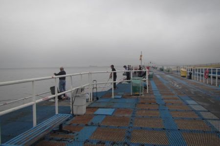 オリジナルメーカー海づり公園(市原市海づり…