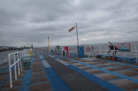 オリジナルメーカー海づり公園(市原市海づり施設) 釣果