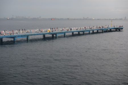 オリジナルメーカー海づり公園(市原市海づり施設) 釣果