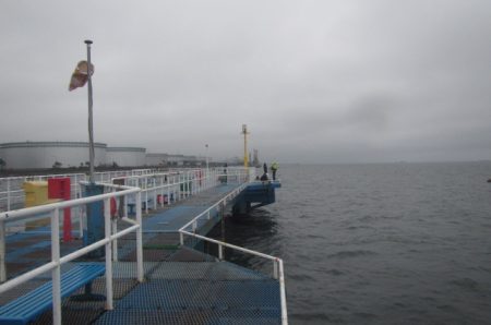 オリジナルメーカー海づり公園(市原市海づり施設) 釣果