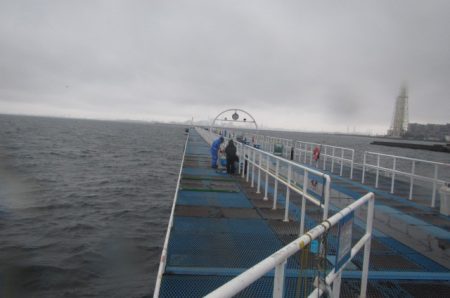 オリジナルメーカー海づり公園(市原市海づり施設) 釣果