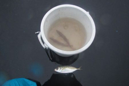 オリジナルメーカー海づり公園(市原市海づり…