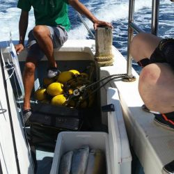 第五慶門丸 釣果