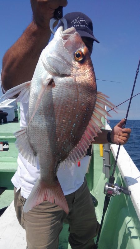 遊漁船 新鋭丸 釣果