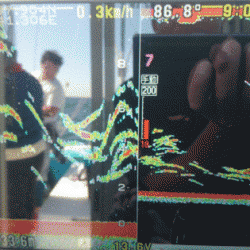 遊漁船ブルーウッズ 釣果