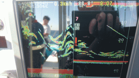 遊漁船ブルーウッズ 釣果