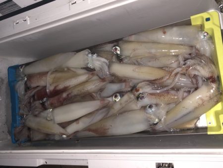 幸風（さちかぜ） 釣果