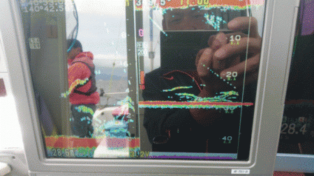 遊漁船ブルーウッズ 釣果