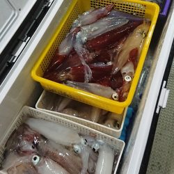 宝生丸 釣果