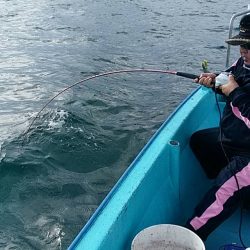宝昌丸 釣果