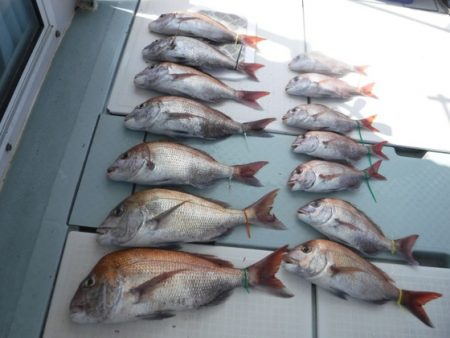 遊漁船 幸友丸 釣果