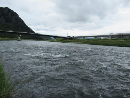 狩野川（狩野川漁業協同組合） 釣果