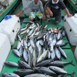 真祐丸 （しんゆうまる） 釣果