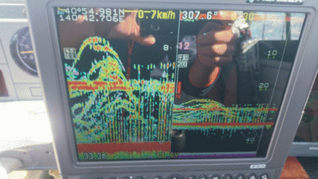 遊漁船ブルーウッズ 釣果