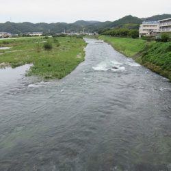 狩野川(狩野川漁業協同組合) 釣果