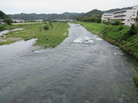 狩野川(狩野川漁業協同組合) 釣果