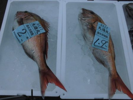 大進丸(新潟) 釣果