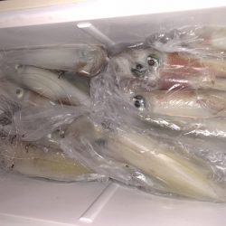 幸風（さちかぜ） 釣果