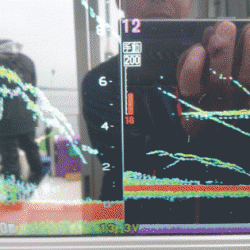 遊漁船ブルーウッズ 釣果