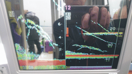 遊漁船ブルーウッズ 釣果