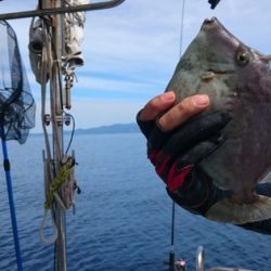 海晴丸 釣果