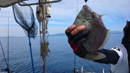 海晴丸 釣果