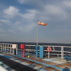 オリジナルメーカー海づり公園(市原市海づり施設) 釣果