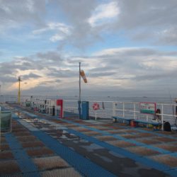 オリジナルメーカー海づり公園(市原市海づり施設) 釣果