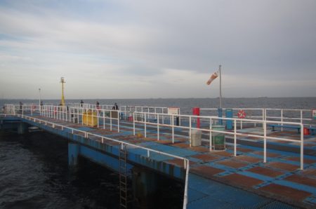 オリジナルメーカー海づり公園(市原市海づり施設) 釣果