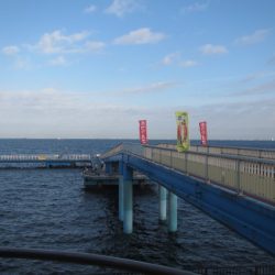 オリジナルメーカー海づり公園(市原市海づり施設) 釣果