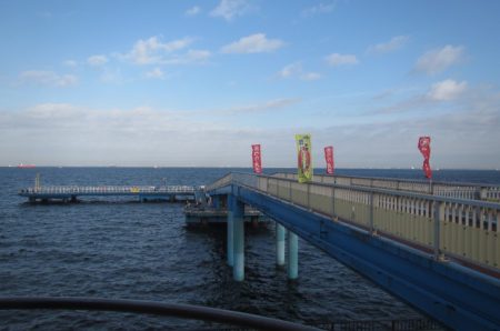オリジナルメーカー海づり公園(市原市海づり施設) 釣果