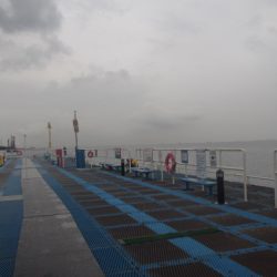 オリジナルメーカー海づり公園(市原市海づり施設) 釣果