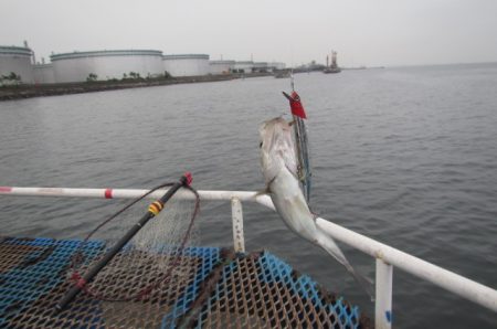 オリジナルメーカー海づり公園(市原市海づり…