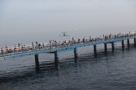 オリジナルメーカー海づり公園(市原市海づり施設) 釣果