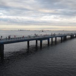 オリジナルメーカー海づり公園(市原市海づり施設) 釣果