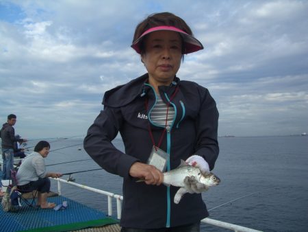 オリジナルメーカー海づり公園(市原市海づり…