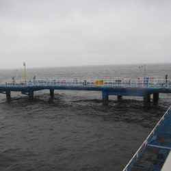 オリジナルメーカー海づり公園(市原市海づり施設) 釣果