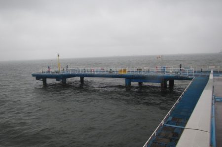 オリジナルメーカー海づり公園(市原市海づり施設) 釣果