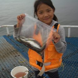 オリジナルメーカー海づり公園(市原市海づり施設) 釣果