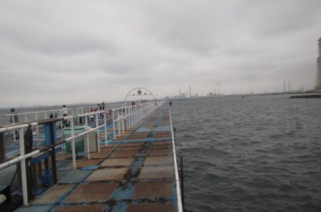 オリジナルメーカー海づり公園(市原市海づり施設) 釣果