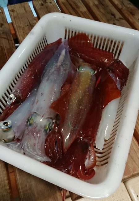 宝生丸 釣果