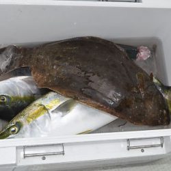 八海丸 釣果