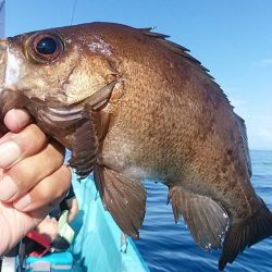 宝昌丸 釣果