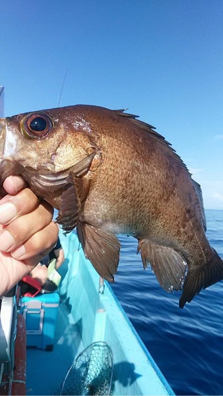 宝昌丸 釣果